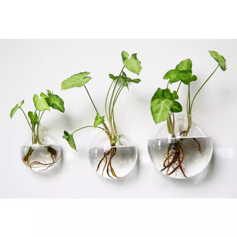 Creative wall-mounted hydroponic vase