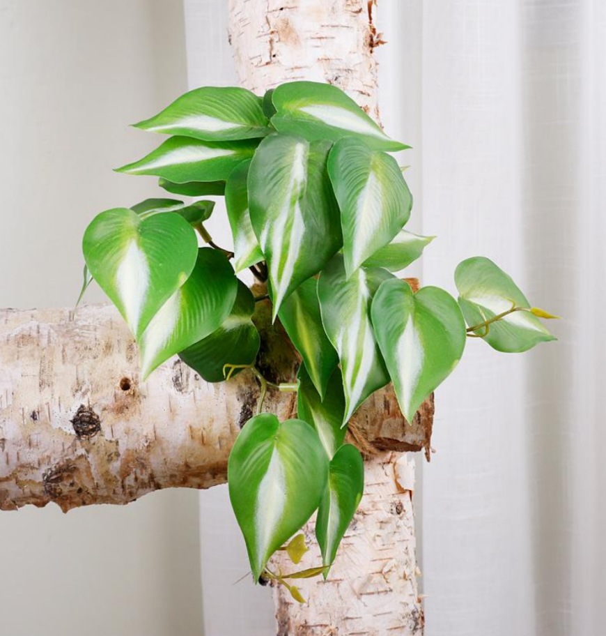 Simulation Green Plants